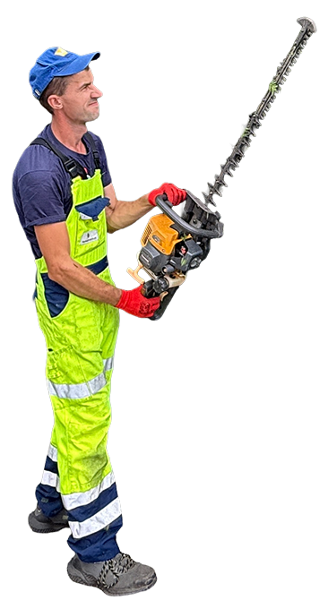 Ogrodnik od żywopłotu