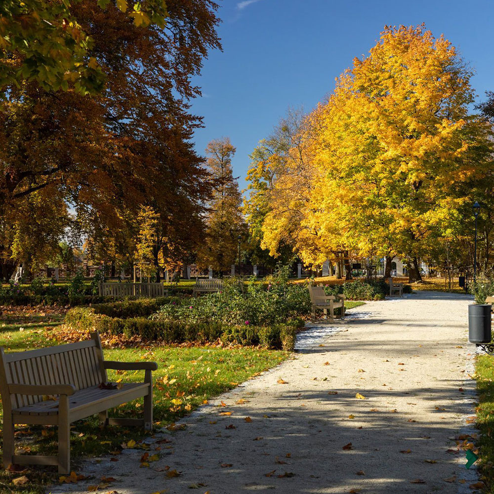 Parkowa alejka otoczona jesiennymi drzewami w ciepłych odcieniach żółci i brązu, z ławkami ustawionymi wśród zadbanej zieleni i rabat.