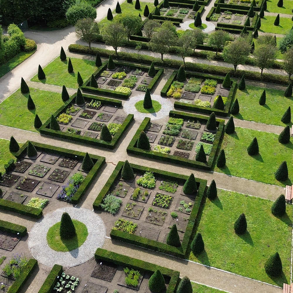 Geometryczny ogród widziany z góry, podzielony na regularne kwatery otoczone niskimi żywopłotami, z licznymi stożkowymi krzewami i równymi ścieżkami biegnącymi pomiędzy rabatami.